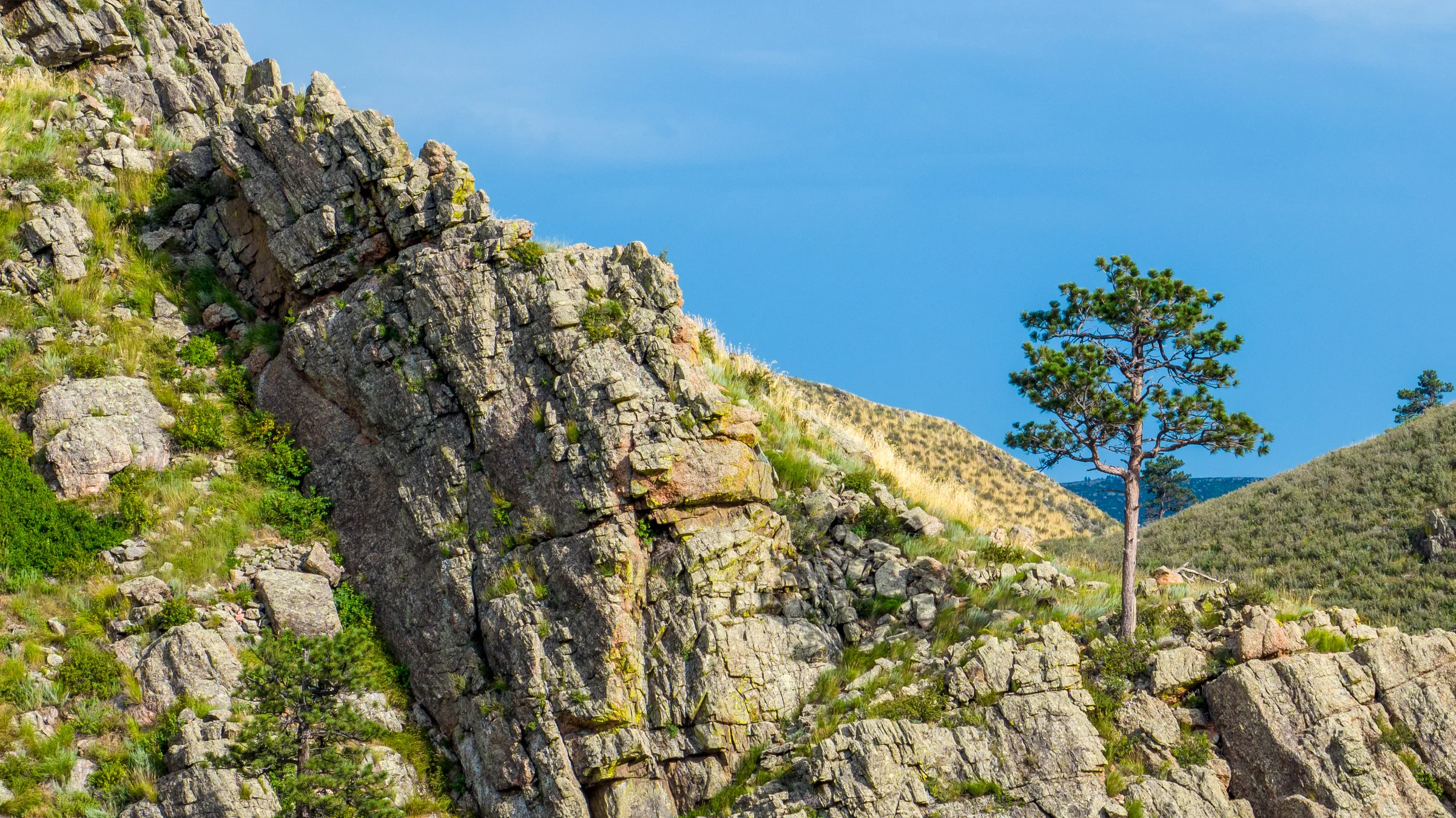 Along the Cache la Poudre — Larimer County, Colorado