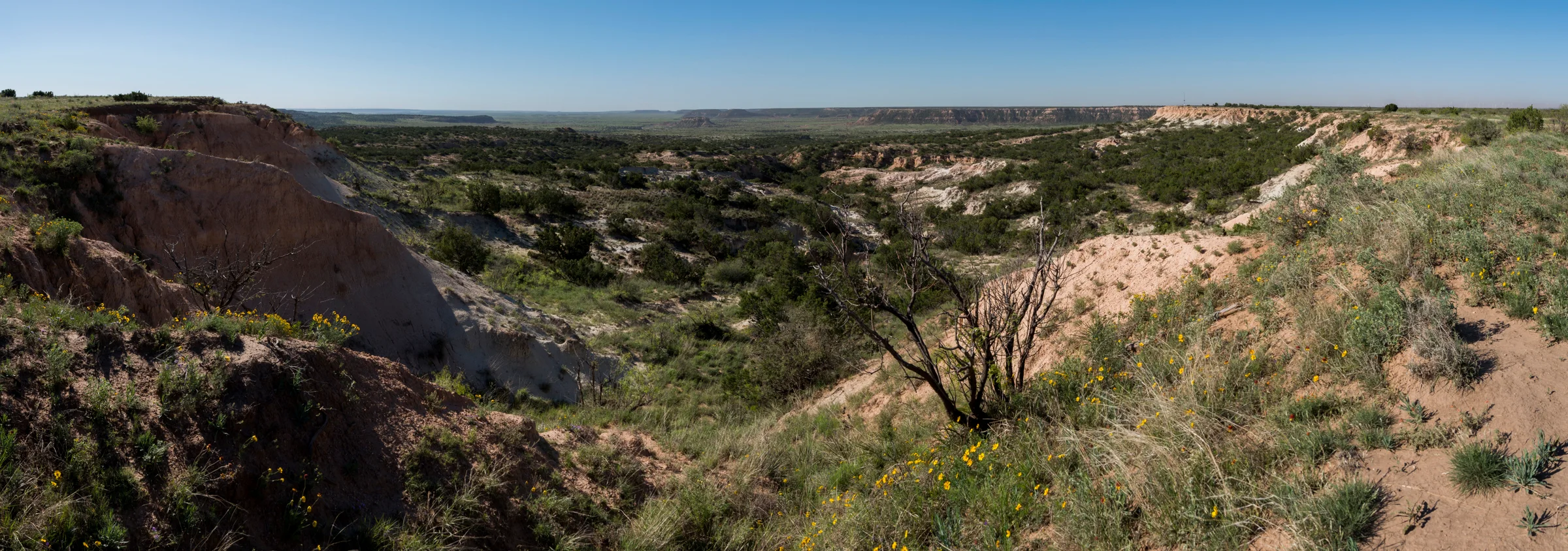 Blooming Stratification — Garza County, Texas