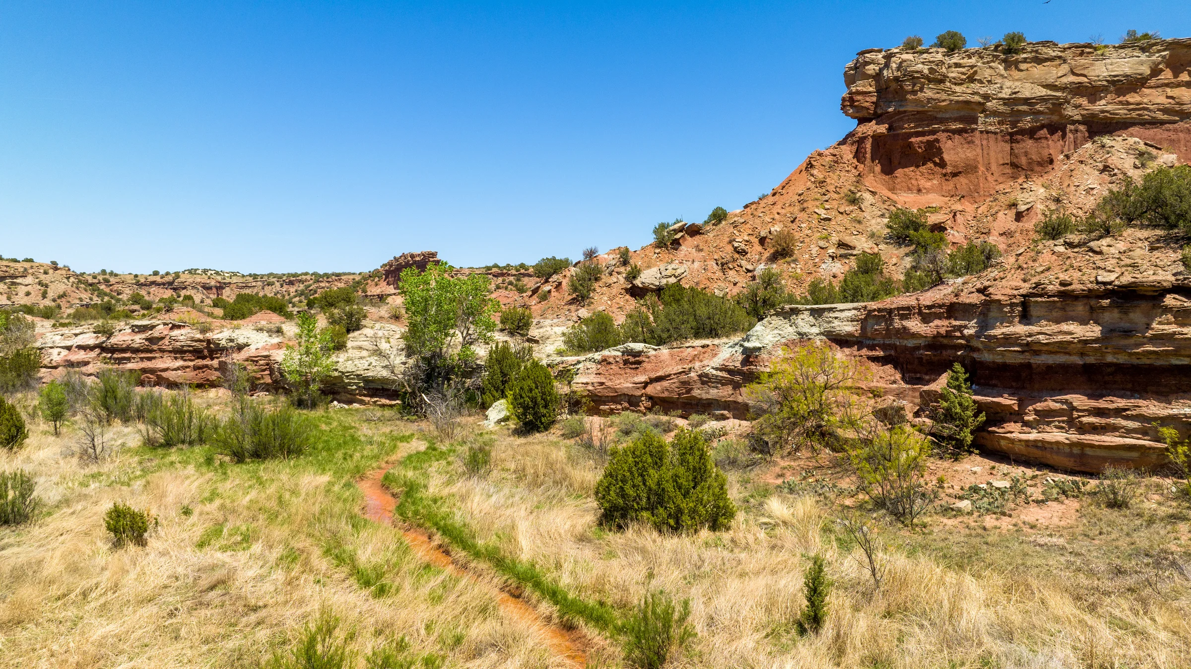Briscoe County Ledge — Briscoe County, Texas
