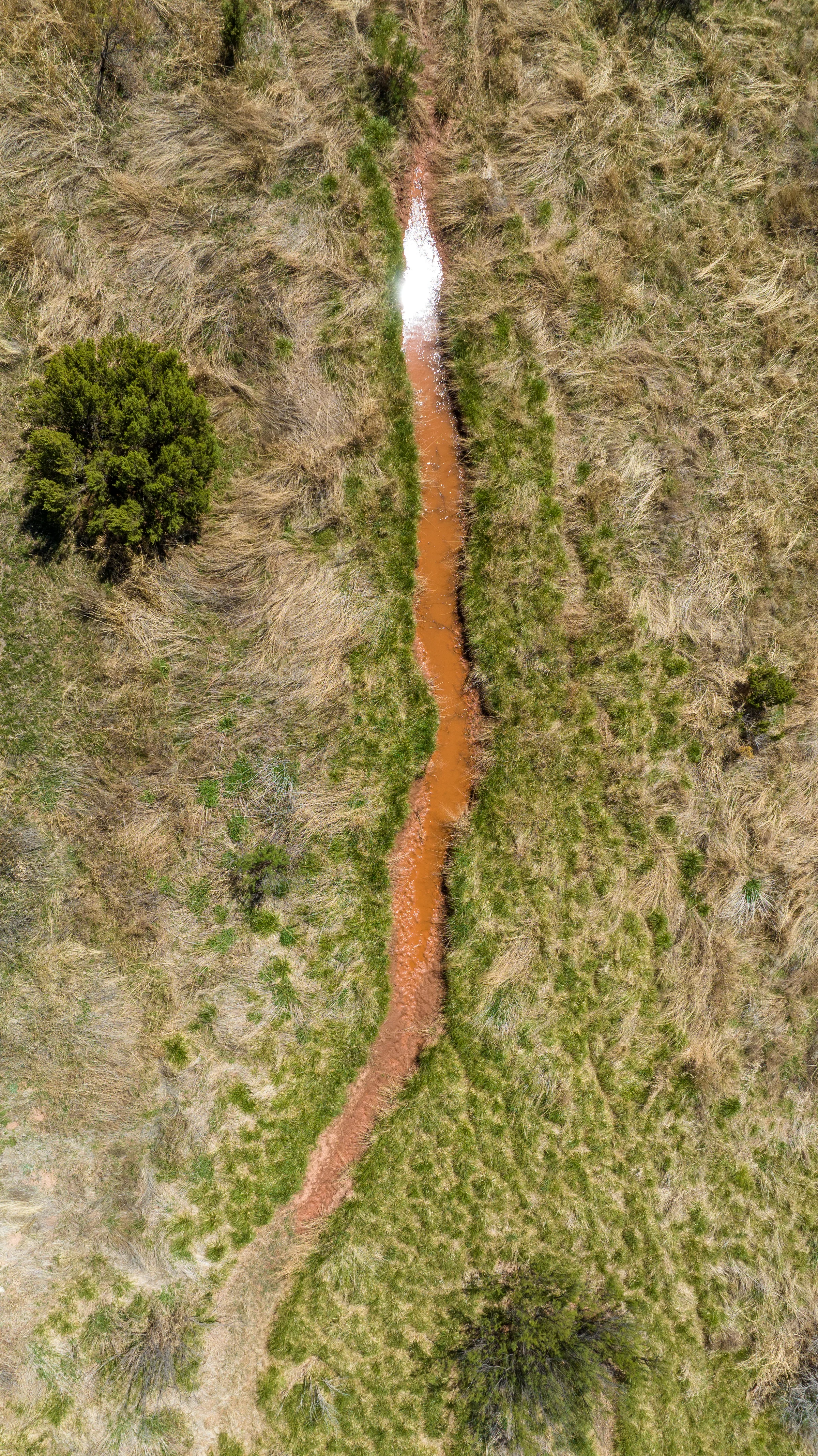 Tule Creek Flow — Briscoe County, Texas