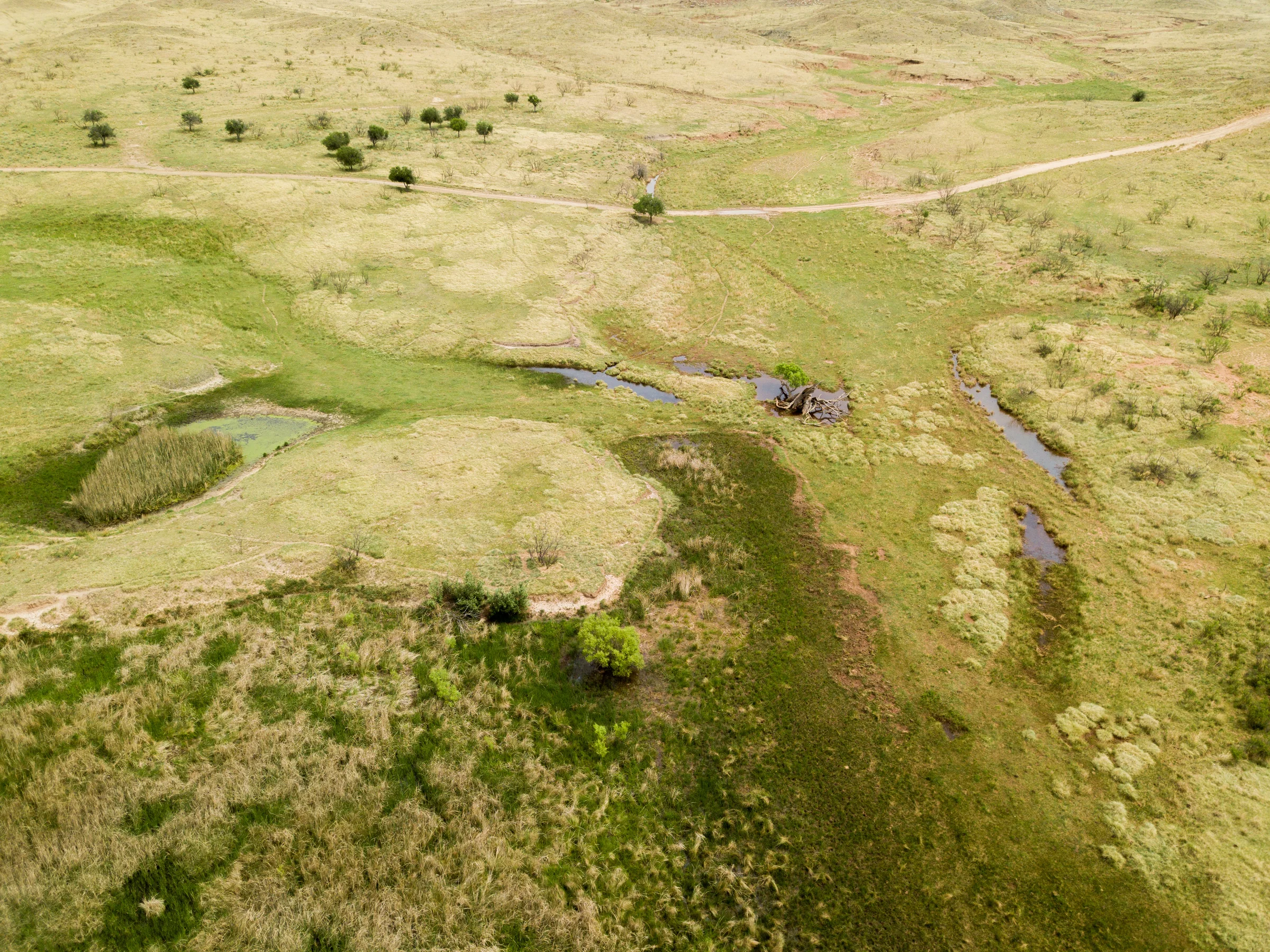 Sources for the Pastores — Potter County, Texas