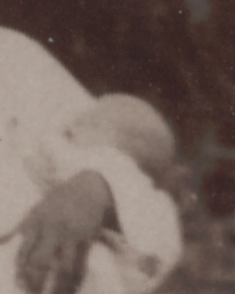 Jack Clifford Gilbert, from [Redmon and Betty Allison family, circa 1917-1918]