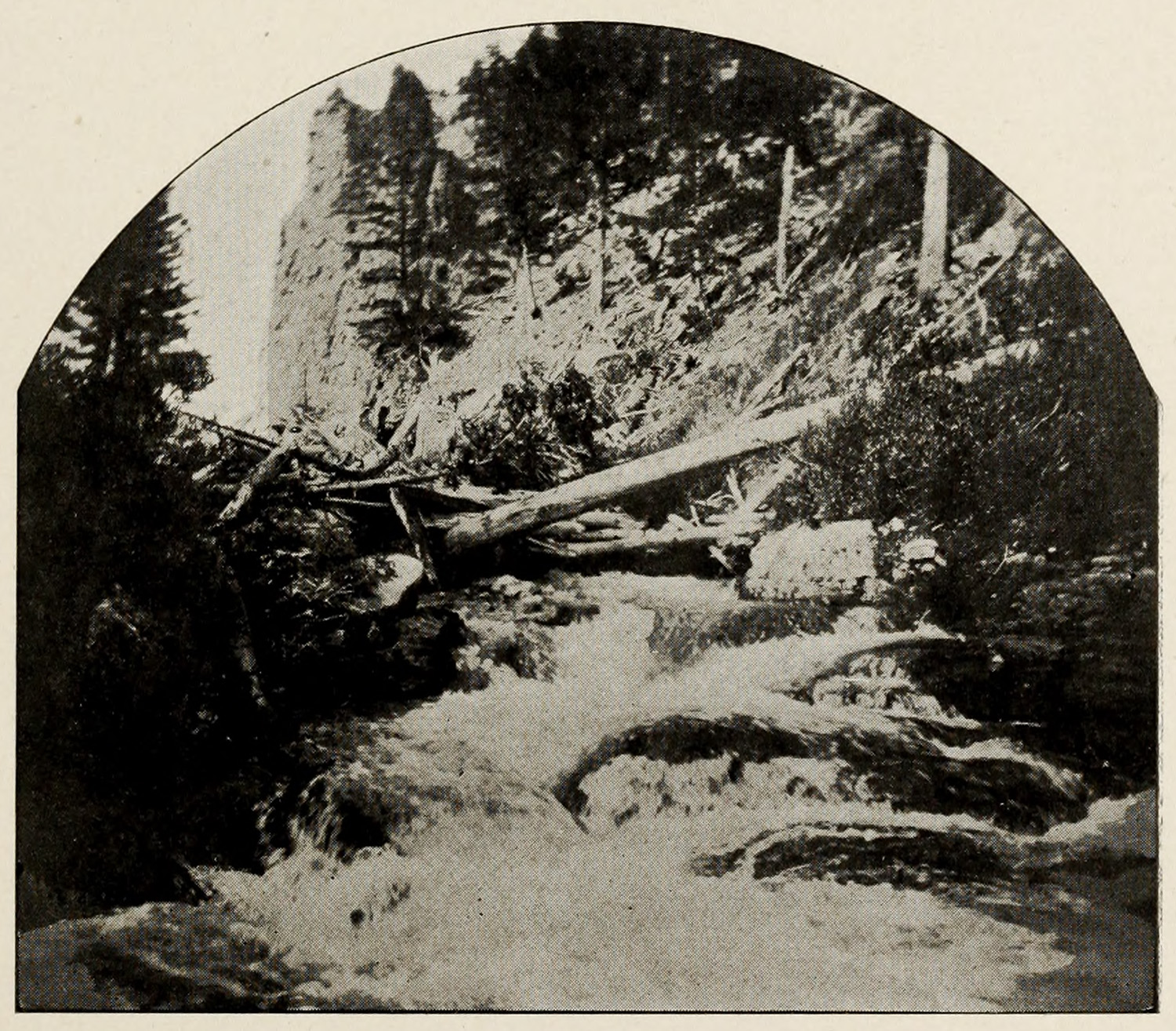 View at the lower extremity of Culver’s Canyon showing trees downed in the river