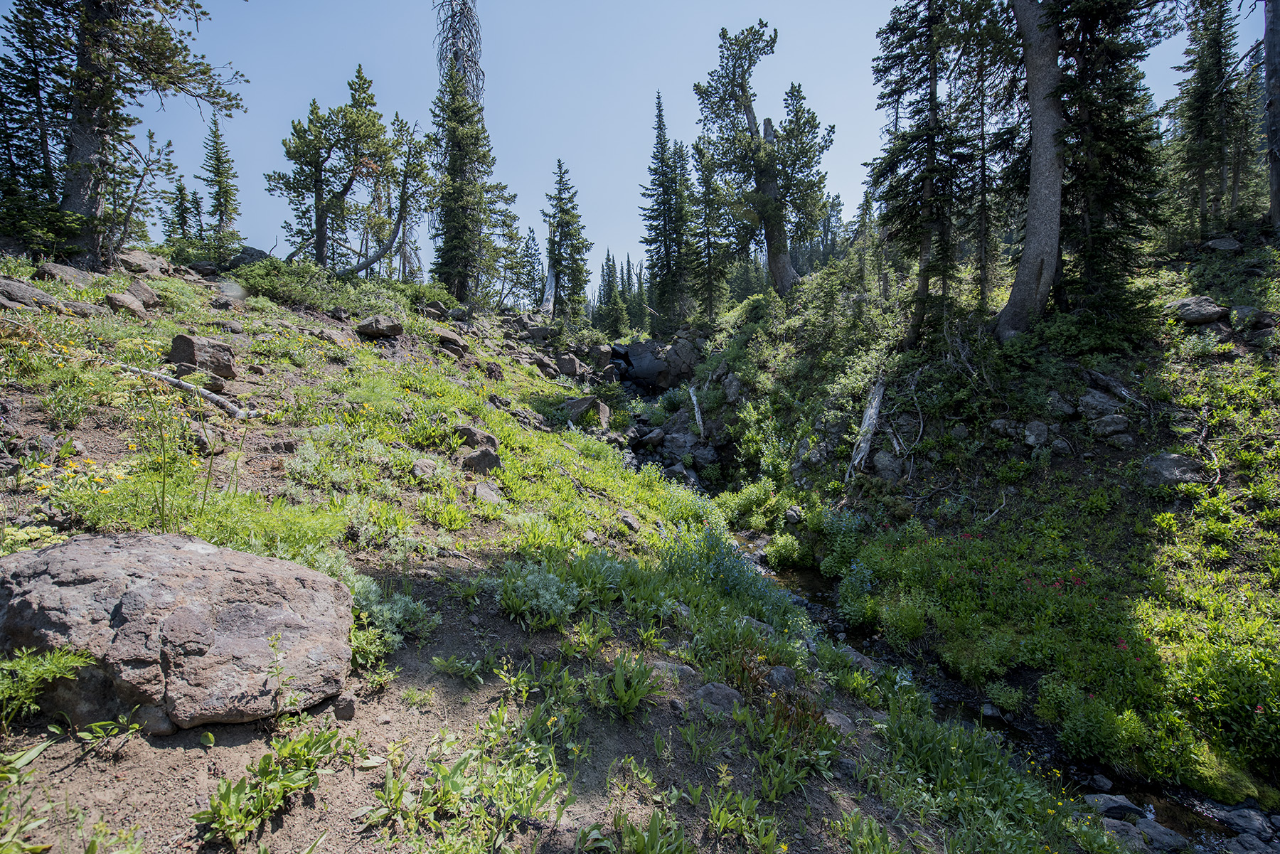 Wider view of the utmost spring location