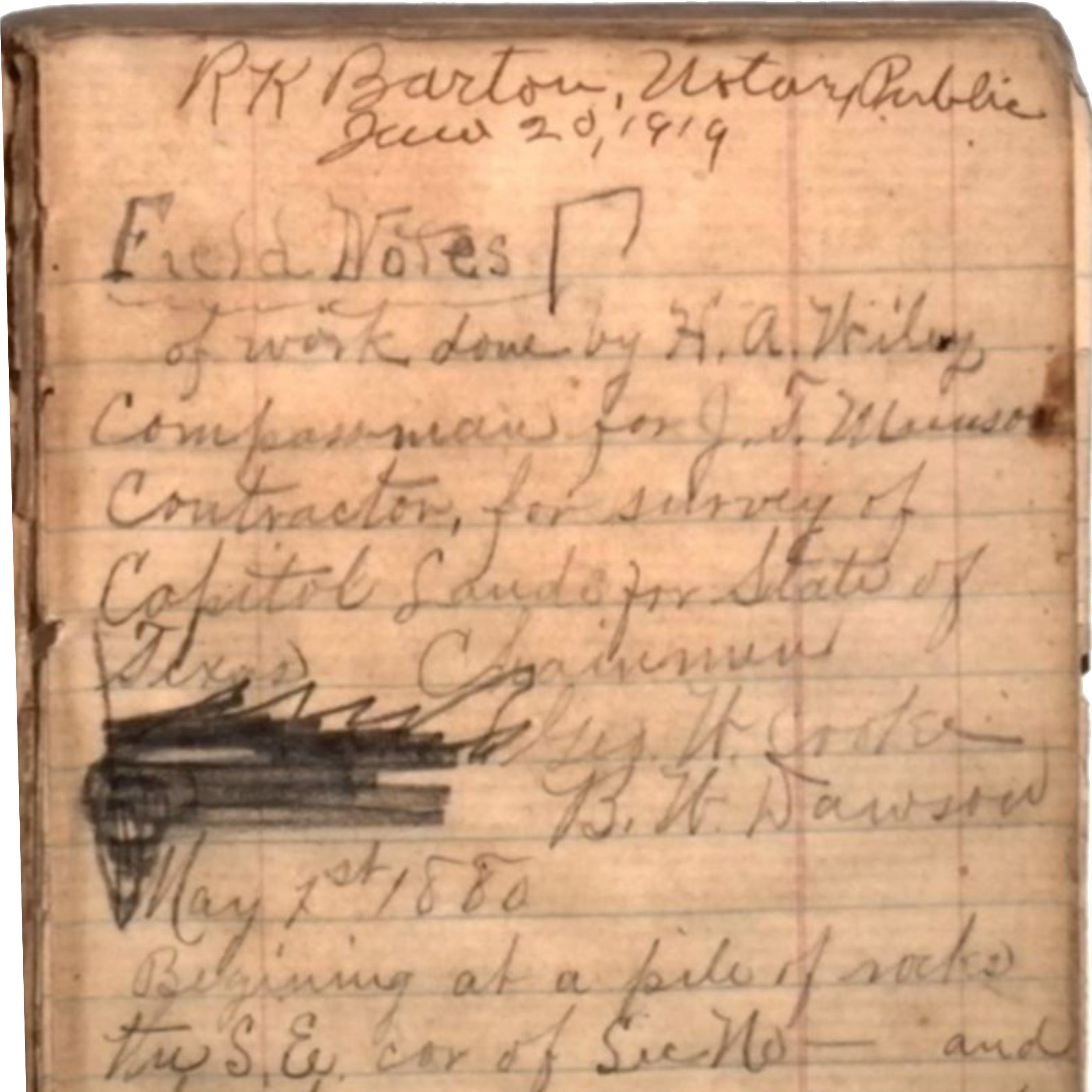Image of H.A. Wiley's field notes